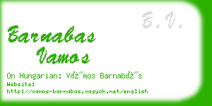 barnabas vamos business card